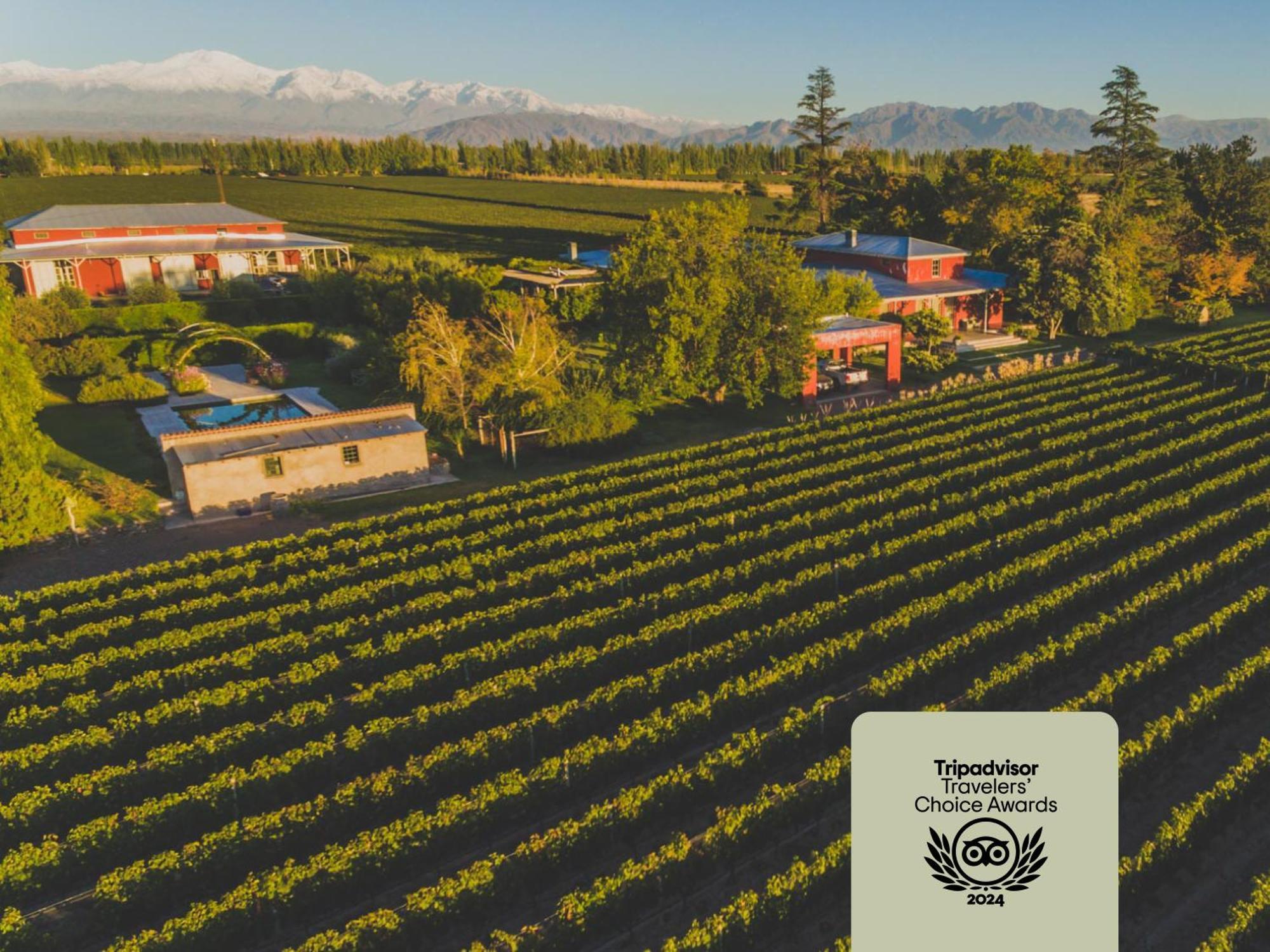 Enlace Wine House Lujan de Cuyo ภายนอก รูปภาพ