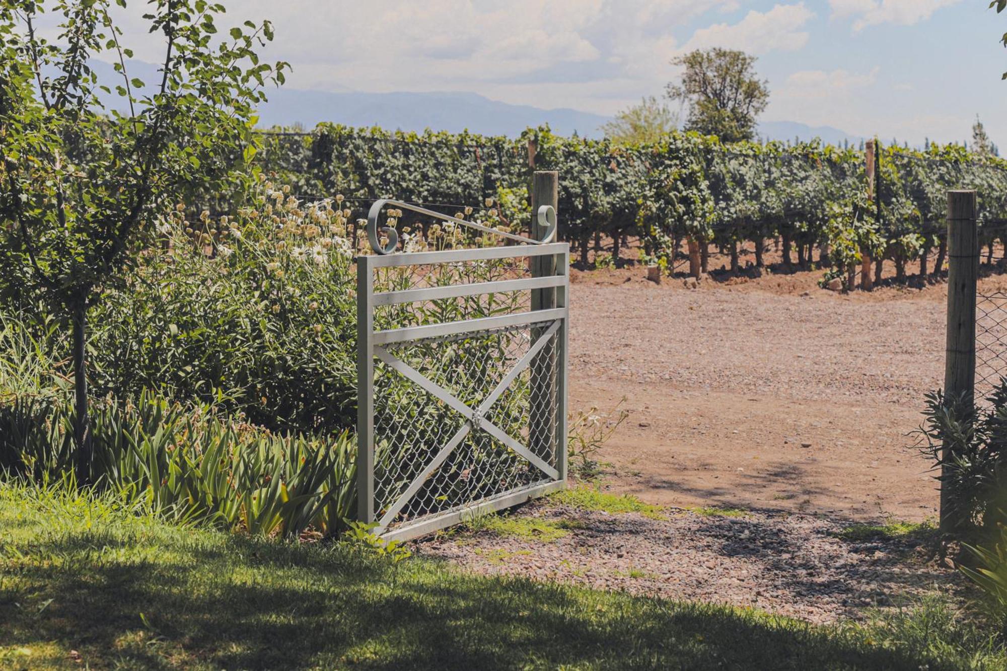Enlace Wine House Lujan de Cuyo ภายนอก รูปภาพ